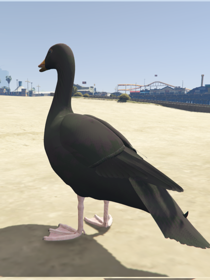 GTA 5 Mods Duck Black [ADD-ON-PED]